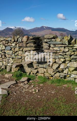 Stile fait de marches d'ardoise établi dans le mur de pierre sèche au printemps fin hiver Lake District National Park Cumbria Angleterre Royaume-Uni Grande-Bretagne Banque D'Images