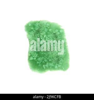 Coloration d'aquarelle abstraite vert chaud pour l'arrière-plan. Gouttes abstraites expressives. Aquarelle texture dessinée à la main pour les fonds, les cartes, les bannières et le doré Banque D'Images