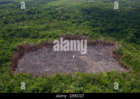 Déforestation de la forêt amazonienne. Tache de forêt brûlée au sol. Environnement, écologie, concepts climatiques. Banque D'Images