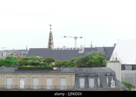 Paris, France. Mai 22. 2022. Terrasse de bâtiment parisien avec végétation. Construction de grues en arrière-plan. Banque D'Images