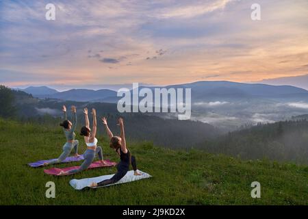 Fitness jeunes femmes dans des vêtements de sport faisant des exercices de yoga parmi la nature verte. Trois dames passent du temps libre pour l'entraînement en plein air. Banque D'Images