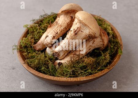 Une combinaison de champignons shiitake et matsutake Banque D'Images