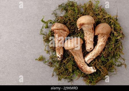 Une combinaison de champignons shiitake et matsutake Banque D'Images