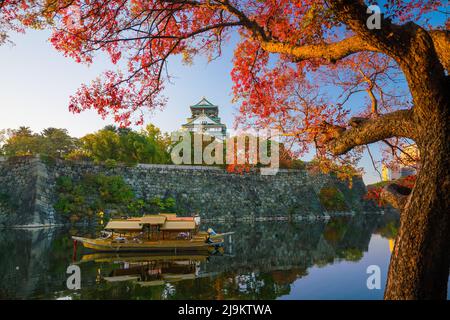 Château d'Osaka à Osaka, Japon automne Banque D'Images