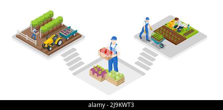 Jardiniers isométriques, agriculteurs et travailleurs s'occupant du jardin, cultivant des produits agricoles. Illustration de Vecteur