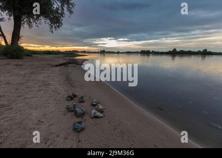 Coucher de soleil sur la rivière Elbe réserve de biosphère de l'UNESCO à Hitzacker, dans le quartier de Lüchow-Dannenberg en Basse-Saxe. Banque D'Images