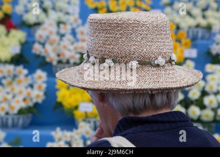 Londres, Royaume-Uni, 24 mai 2022 : le RHS Chelsea Flower Show est ouvert au public aujourd'hui avec des amoureux des plantes qui profitent d'expositions spécialisées dans le chapiteau ainsi que dans les jardins du spectacle. Anna Watson/Alay Live News Banque D'Images