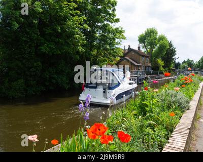 Petit bateau à moteur approchant l'écluse de Boulter sur la Tamise Maidenhead Berkshire Angleterre Royaume-Uni en train de se diriger vers Marlow Banque D'Images