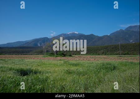 Vue pittoresque sur les montagnes enneigées, les champs verdoyants et le ciel bleu clair capturé sur le chemin du Mont Olympe, en Grèce. Banque D'Images