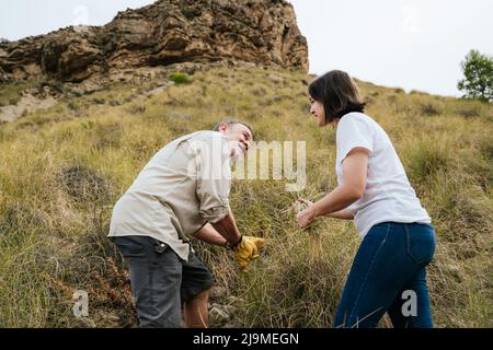Vue latérale d'un fermier mâle barbu âgé avec une jeune fille qui récolte l'herbe de Stipa tenacissima tout en travaillant ensemble sur la pente dans les hautes terres Banque D'Images