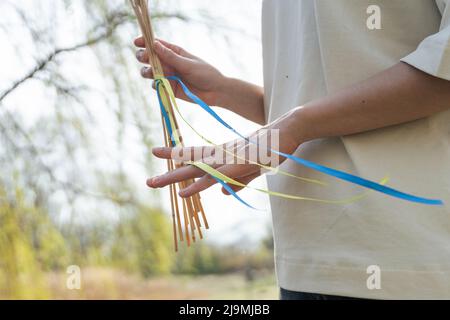 De dessous de la récolte femelle non reconnaissable démontrant un bouquet de spikettes de blé attaché avec des rubans de drapeau ukrainien contre ciel bleu sans nuages sur d ensoleillé Banque D'Images