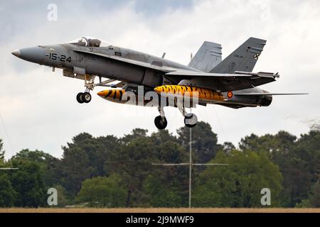 Décollage du Boeing F/A-18 Hornet de l'armée de l'air espagnole lors du Tigerrencontrer 2019 de l'OTAN. Mont-de-Marsan, France - 17 mai 2019 Banque D'Images