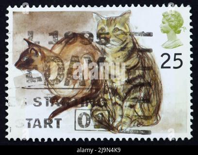 GRANDE-BRETAGNE - VERS 1995 : un timbre imprimé en Grande-Bretagne montre des chats siamois, vers 1995 Banque D'Images