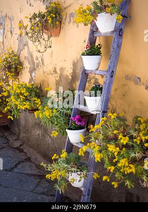 Charmantes rues étroites fleuries de villages italiens typiques. La ville fantôme de Civita di Bagnoregio, attraction touristique populaire dans la région du Latium Banque D'Images