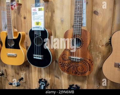 Lynnwood, WA USA - vers mai 2022: Gros plan, accent sélectif sur les ukuleles à vendre sur le mur à l'intérieur d'un magasin d'instruments de musique Guitar Center. Banque D'Images