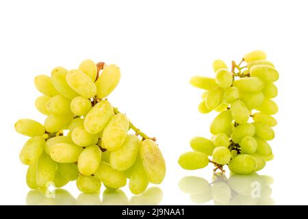 Deux grappes de raisins blancs sans pépins, isolées sur fond blanc. Banque D'Images