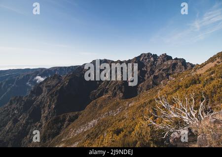 Vue sur l'île de Madère depuis la plus haute montagne, Pico Ruivo. Aventure sur une petite île dans l'océan Atlantique. Végétation verte se transformant en Banque D'Images