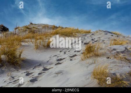 dunes de sable avec de l'herbe sur le chemin de la plage de mer Banque D'Images