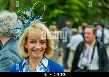 Londres, Royaume-Uni. 23rd mai 2022. Sue Holderness sur le jardin de fonds de bienfaisance de la RAF - le salon des fleurs de Chelsea 2022. Crédit : Guy Bell/Alay Live News Banque D'Images