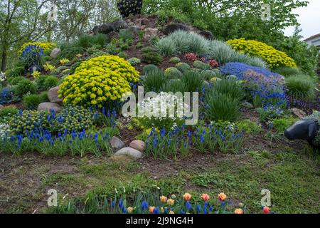 Jardin d'été paysagé avec plantes vertes, rochers, différentes fleurs dans des parterres de fleurs Banque D'Images