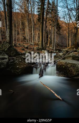 Réserve naturelle tchèque appelée Jizerskohorske buminy, Jizera Mountain Beechwood, sur la liste de l'UNESCO.nature unique avec des hêtres, chutes d'eau, ruisseaux sauvages, Banque D'Images