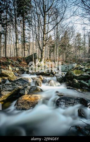 Réserve naturelle tchèque appelée Jizerskohorske buminy, Jizera Mountain Beechwood, sur la liste de l'UNESCO.nature unique avec des hêtres, chutes d'eau, ruisseaux sauvages, Banque D'Images