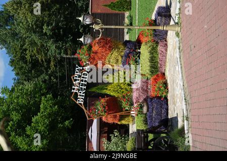 Joyeux anniversaire photo zone faite de balles de foin naturelles peintes dans différentes couleurs Banque D'Images