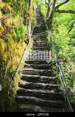 Devil's Bridge Falls, Pontarfynach, pays de Galles Banque D'Images