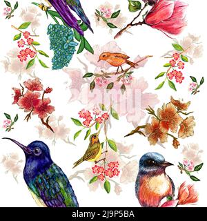 Motif aquarelle sans couture avec branche florissante de cerisier, magnolia et oiseaux, colibri sur fleurs d'Hydrangea, sur fond blanc Banque D'Images