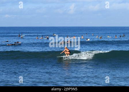 Un jeune surfeur sur une vague à Batu Bolong Beach à Canggu, Bali, Indonésie Banque D'Images