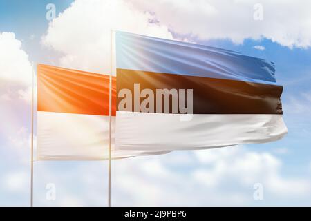 Ciel bleu ensoleillé et drapeaux de l'estonie et de l'indonésie Banque D'Images