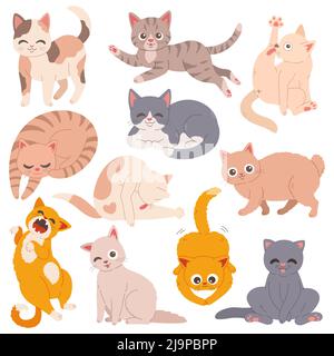 Ensemble de chats plat conception simple illustration vectorielle Illustration de Vecteur