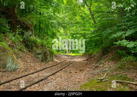 Vue d'une seule voie ferrée qui arrondisse une courbe au milieu d'une coupe dans la colline dans la forêt Banque D'Images