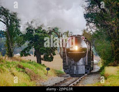 Un ancien moteur à vapeur restauré s'approchant de la tête, sur certains chemins de fer Old Rail Road qui soufflent de la fumée et de la vapeur traversant les terres agricoles. Banque D'Images