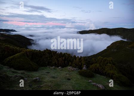 Vue panoramique sur la vallée de Ribeira da Janela, pleine de nuages, au crépuscule, près de la réserve naturelle de Rabaçal, Madère Banque D'Images