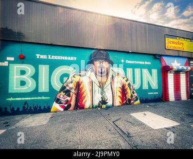 Bronx, NY - États-Unis - 20 mai 2022 vue panoramique au lever du soleil de la fresque du Mémorial de Big Pun. Hommage à Christopher Lee Rios mieux connu par son nom de scène Big Banque D'Images