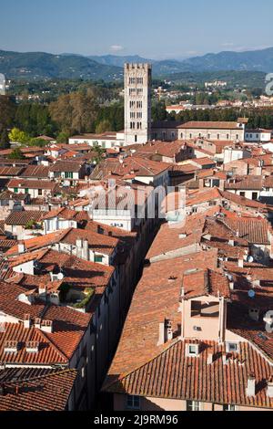 Italie, Toscane, Lucques. Les toits du centre historique de Lucques et le clocher médiéval de la cathédrale Saint-Martin. Banque D'Images