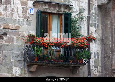 Italie, Toscane, Lucques. Fleurs rouges sur un balcon en fer forgé dans la ville historique de Lucques. Banque D'Images