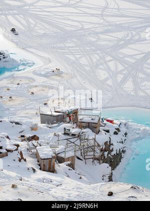 Chien de traîneau reposant sur la glace de mer d'un fjord pendant l'hiver, Uummannaq dans le nord-ouest du Groenland, au-delà du cercle arctique. Groenland, territoire danois Banque D'Images