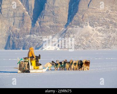 Le pêcheur ramène sa prise au village à l'aide d'un traîneau à chiens. Chien de traîneau avec des chiens du Groenland pendant l'hiver près d'Uummannaq dans le nord-ouest du Groenland beyo Banque D'Images