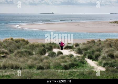 Couple senior actif, vue arrière d'un couple senior seul marchant à travers les dunes de sable vers une plage vide, côte de Northumberland, Angleterre, Royaume-Uni Banque D'Images