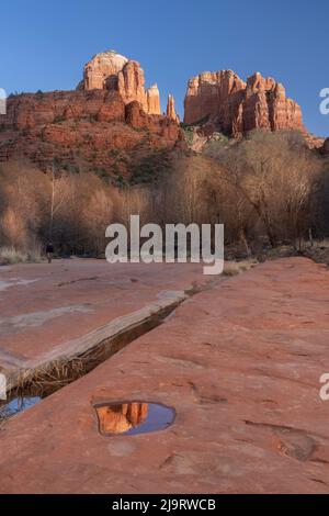 États-Unis, Arizona. Cathedral Rock se reflète dans la flaque. Banque D'Images
