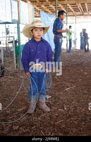 Window Rock, Arizona, États-Unis. Foire de la nation Navajo. Jeune garçon en tenue de cow-boy. (Usage éditorial uniquement) Banque D'Images