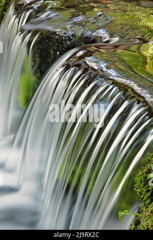 Cascades, Fern Spring, parc national de Yosemite, Californie Banque D'Images