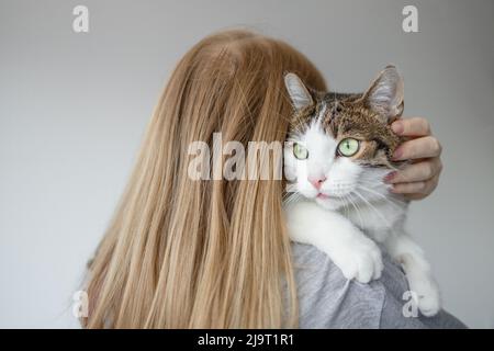 Portrait d'une jeune blonde 30s femme tenant un joli chat tabby avec des yeux verts. Femelle qui embrasse le chat dans les mains Banque D'Images