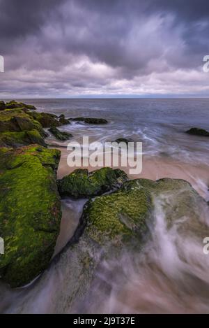 États-Unis, New Jersey, Cape May National Seashore. Vagues de tempête et rochers recouverts de mousse. Banque D'Images