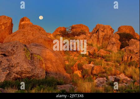 États-Unis, Nouveau-Mexique, parc national de la ville de Rocks. La pleine lune se couche sur des blocs de granit éclairés par le lever du soleil. Banque D'Images