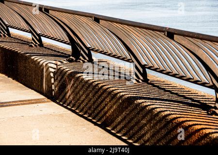 États-Unis, New York City, Manhattan, Upper East Side. John Finley promenade le long de East River, Banque D'Images