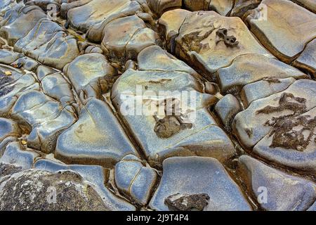 Motif de roche dans la côte érodée, parc national de Shore Acres, Coos Bay, Oregon Banque D'Images