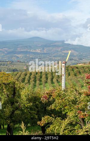 Hood River, Oregon, États-Unis. Ventilateur de machine à vent ou de verger dans un verger de pomme. Les machines éoliennes protègent les récoltes en augmentant les températures. Banque D'Images